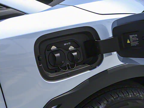 2024�� ��ҫ�� 305km ���ɰ�