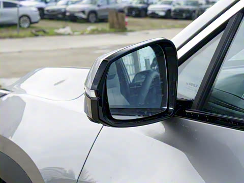 2025�� EM-i 115km Զ����