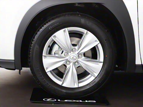 2024�� 300h ̽Ȥ��