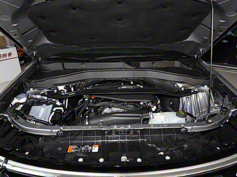 2024�� 2.3T EcoBoost ��������plus�� 6��