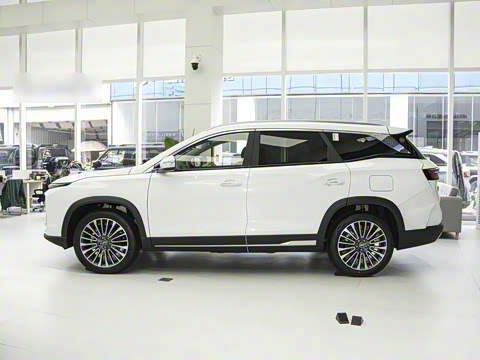 2024�� 1.5TD 2DHT Max 7��