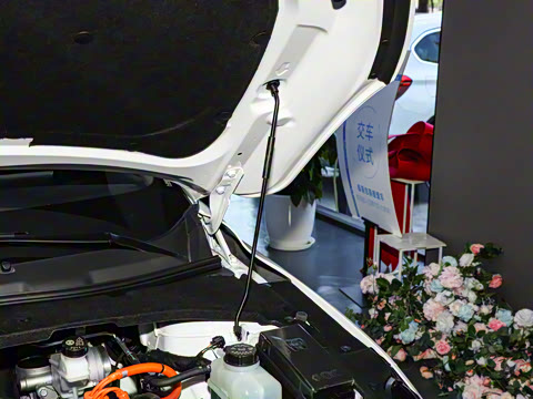 2024�� ������ 150 �캽��