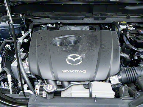 2025�� 2.0L �Զ�����������