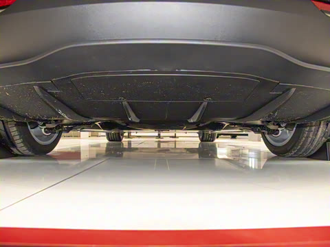 2025�� ����������