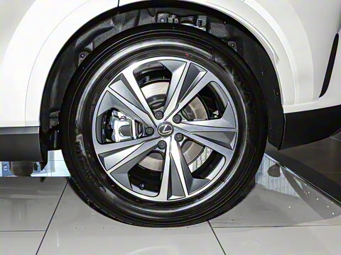 2023�� 350h ����������