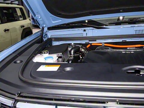 2024�� ����������