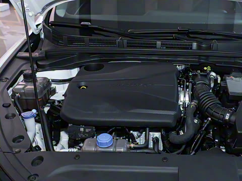 2024�� PLUS ����NE 1.4T GDI DCT���ܰ�