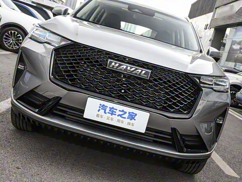 2024�� ������ 2.0T �Զ�����Max