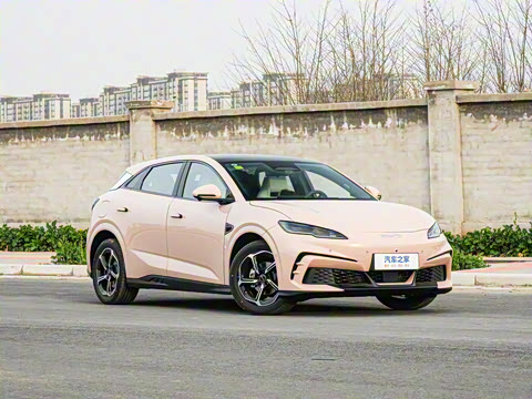 2025�� �Ǽݰ� 505���˰�