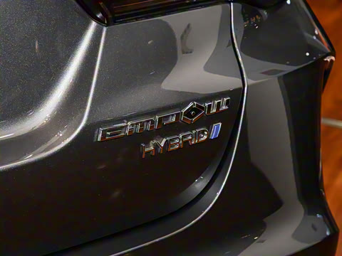 2023�� Ӱ��H ���ܻ춯��