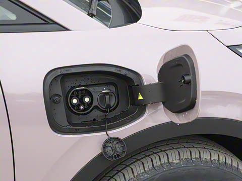 2025�� 420������