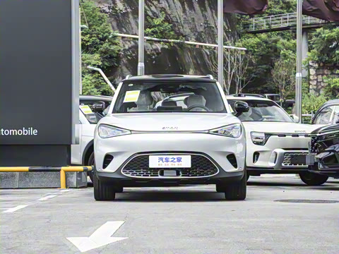 2026�� �鶯��������