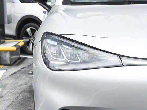 2026�� �鶯��������