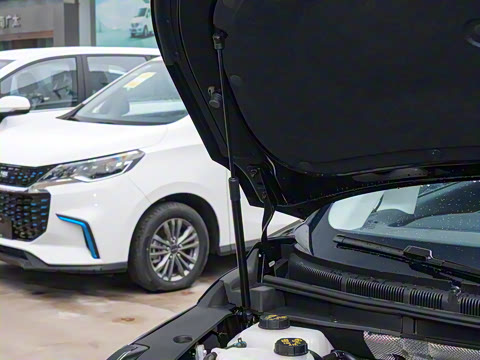 2024�� ���� ��������ԭ�� ����