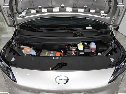 2024�� Younger ��ҫ��