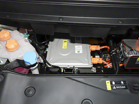 2024�� Younger ��ҫ��