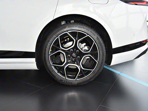 2025�� �������̰� 230�����