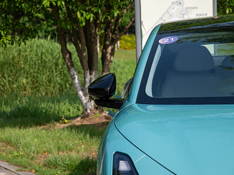 2025�� 502 ������ Max