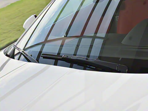 2024�� P300 75�����س����