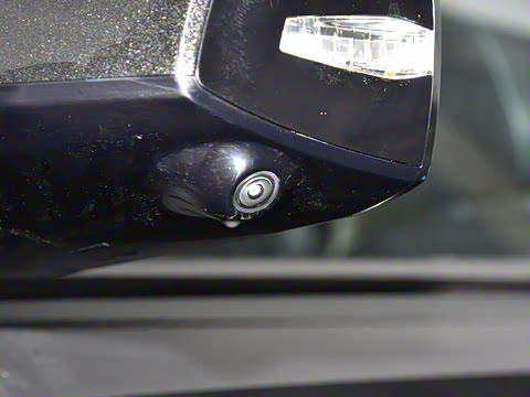 2025�� ���羫Ӣ��