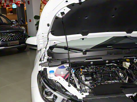 2025�� 1.5L CVT �¶���