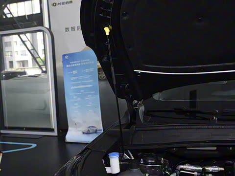 2025�� ����� 125 ��Խ��