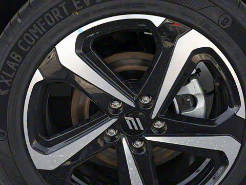 2025�� ���05 ������