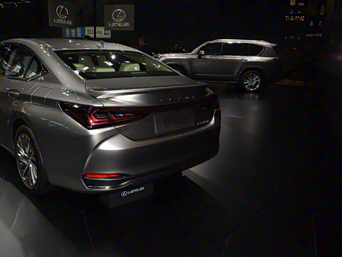 2025�� 300h ������