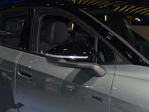 2025�� ������������ʿPRO��