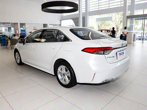 2024�� ���ܵ��˫�� 2.0L ���Ȱ�