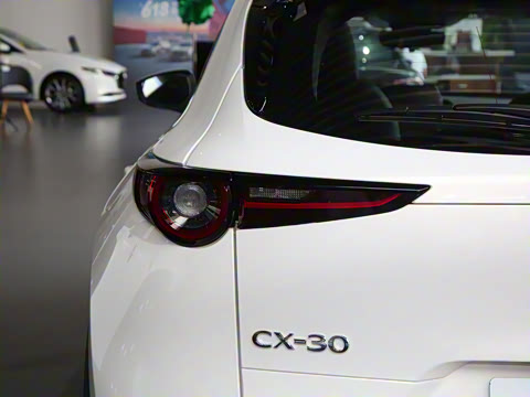 2024�� 2.0L �Զ�������