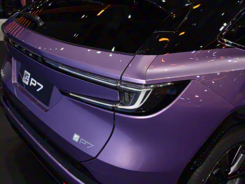 2025�� ����������Max