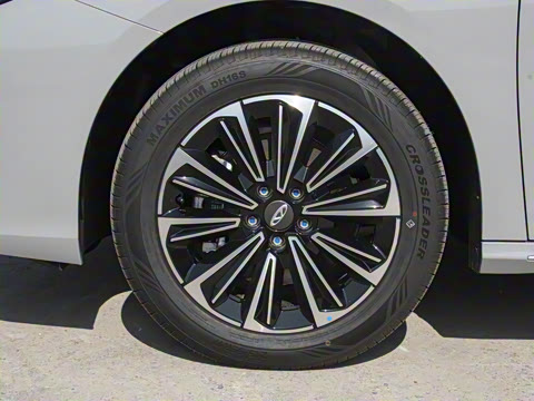 2024�� 127 ����