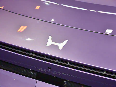 2025�� ����������Max