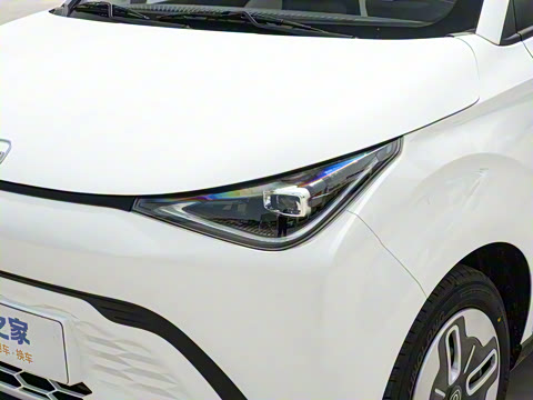 2025�� 305km ������