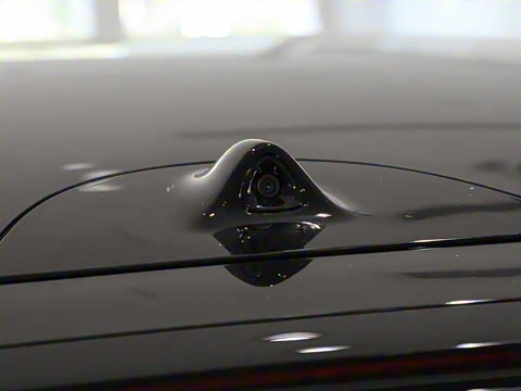 2025�� ����������������