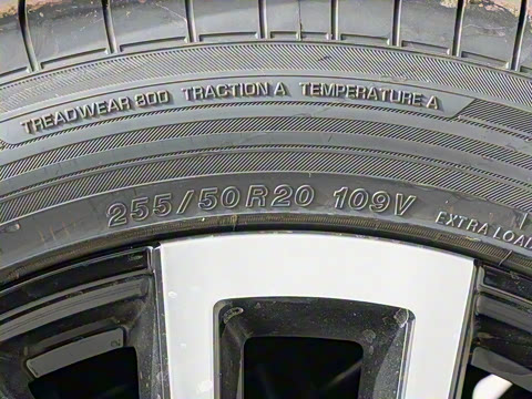 2025�� 205km Max��