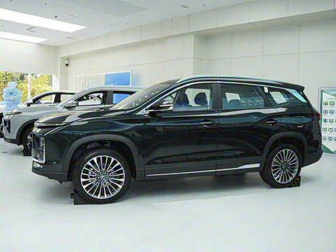 2024�� 1.5TD 2DHT Pro 7��