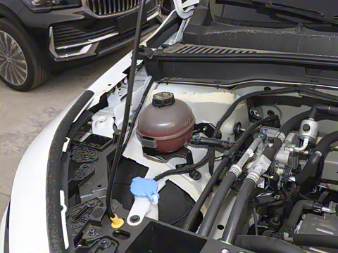 2024�� 450km �Ƹ���