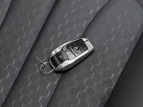 2025�� 2.0L CNG��Ӣ�� 7��