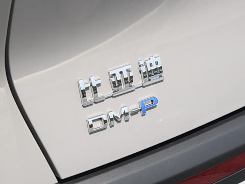 2025�� 135 �����ܼ����״��