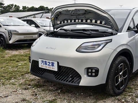 2025�� 330�ǻ԰�