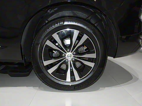 2025�� B5 �������ݺ�����