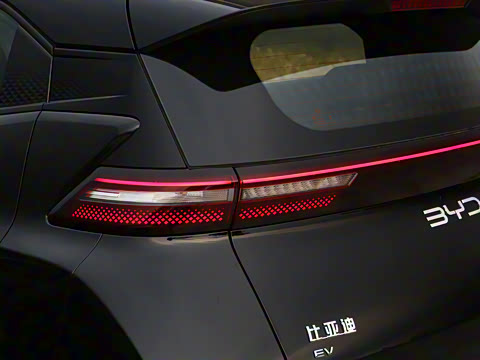 2025�� 305km ������