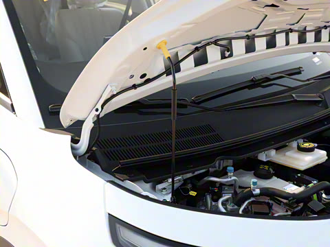 2025�� 330��ҫ��