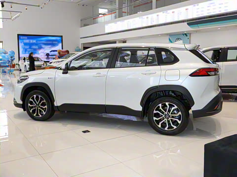 2024�� 2.0L ���ܵ��˫�� ������