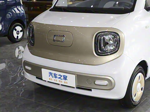 2025�� 222km ������