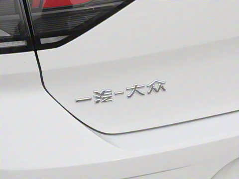 2025�� 300TSI DSG���������