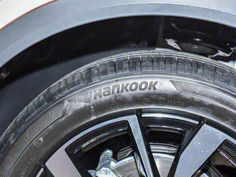 2025�� 300TSI DSG���������