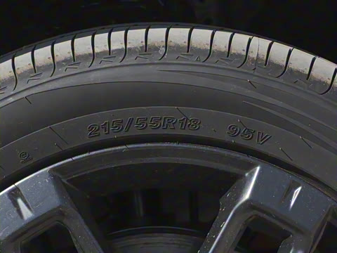 2025�� ���������� 650 ������